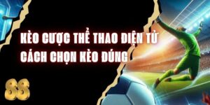 Kèo Cược Thể Thao Điện Tử - Cách Chọn Kèo Đúng